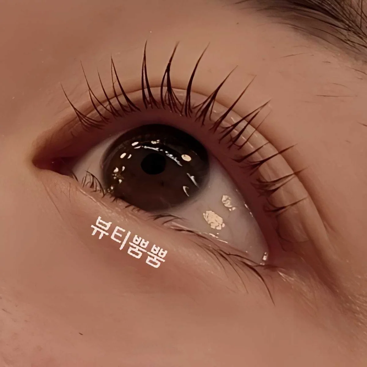 뷰티뿜뿜 업체 공개 사진